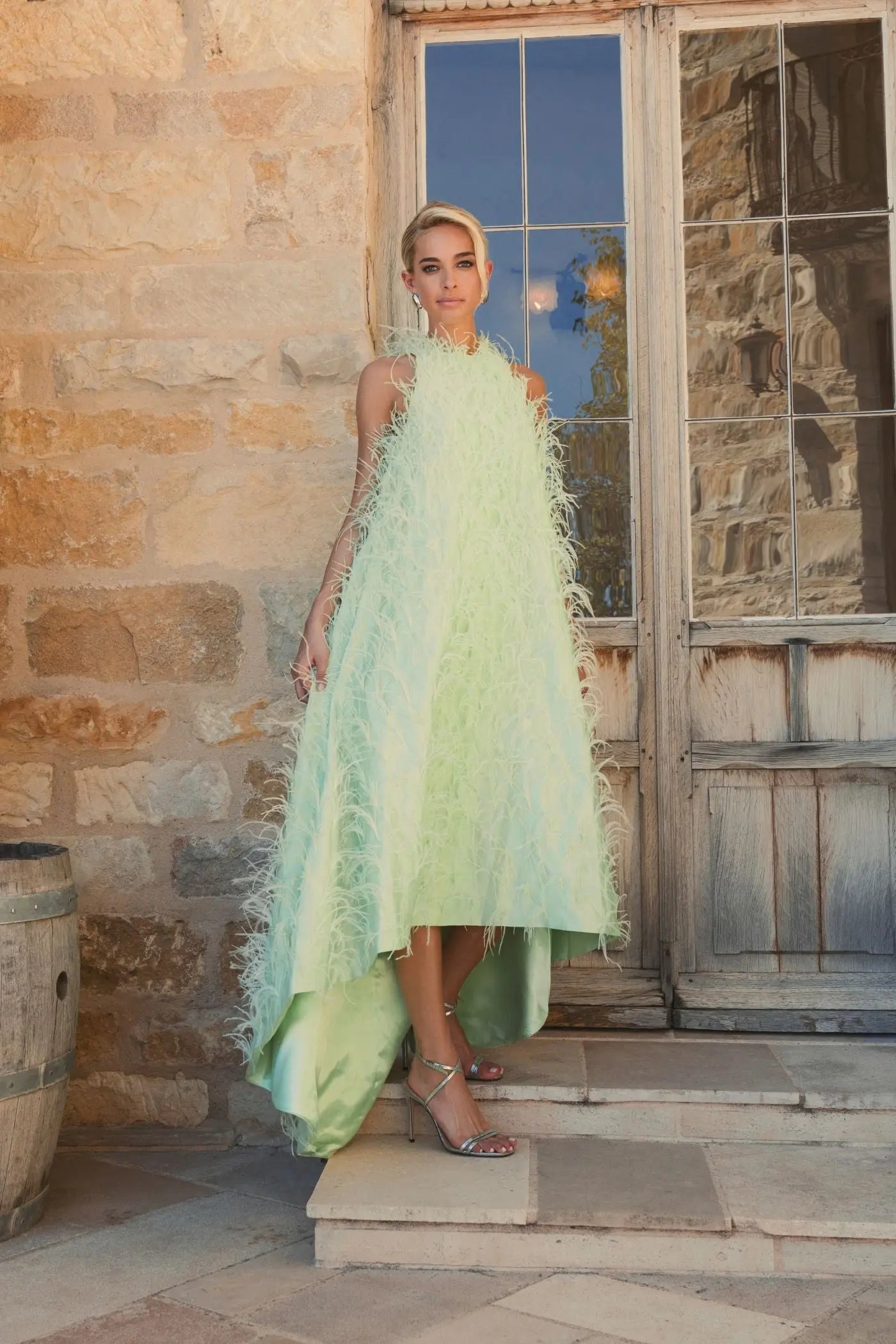 Green Sleeveless Feather Embellished Trapeze Gown