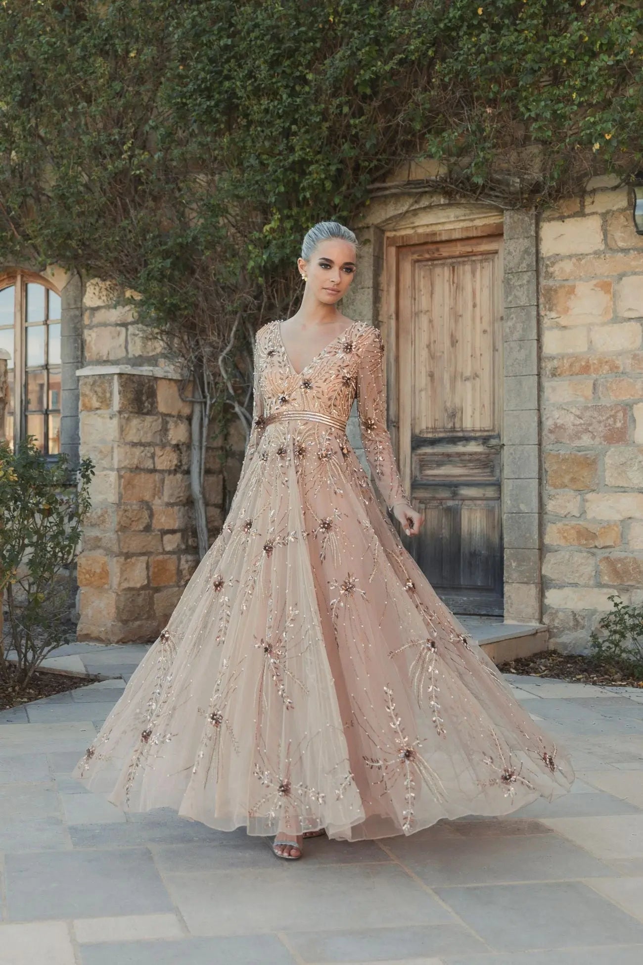 Beige Embellished Sheer Sleeve A-Line Gown